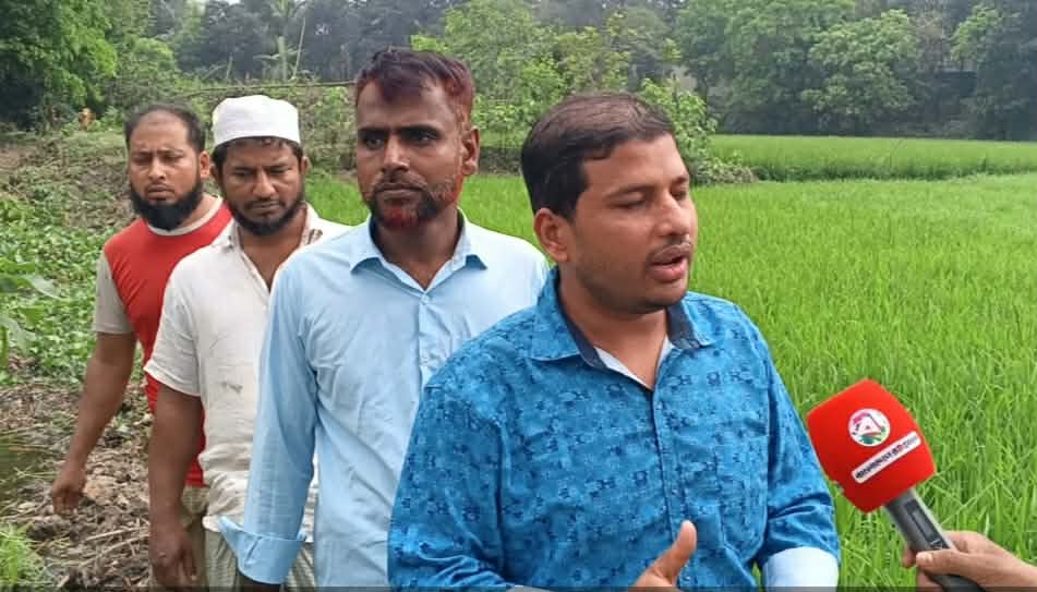 সোনারগাঁয়ে জমি বিরোধকে কেন্দ্র করে সন্ত্রাসী তাণ্ডব, পুকুরের মাছ লুটের অভিযোগ