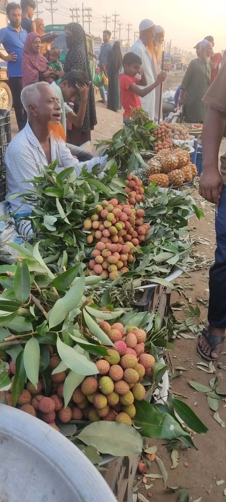 বাজারে সোনারগাঁয়ের সুমিষ্ট লিচুর আগাম আগমন